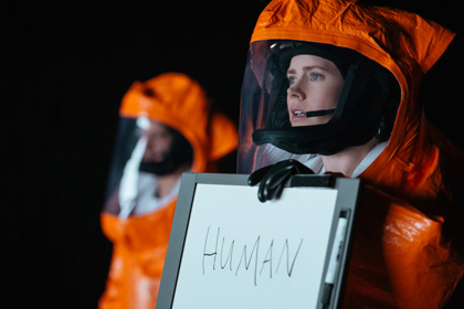 Menschliche Botschafterin vor Aliens: Amy Adams| © 2016 Sony Pictures