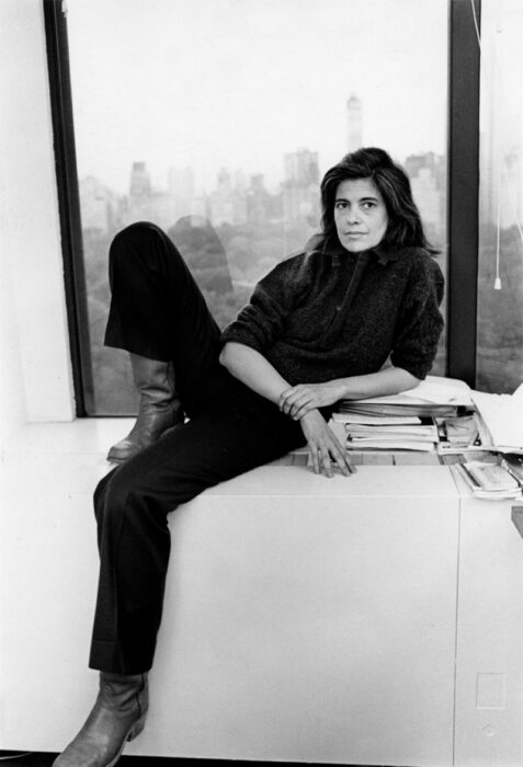 susan sontag